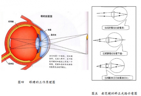 美麗島眼鏡：老花鏡不可隨意亂帶，需要在專業(yè)驗光后科學(xué)配制